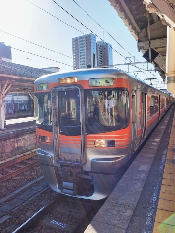 JR東海 東海道本線 313系8000番台 電車