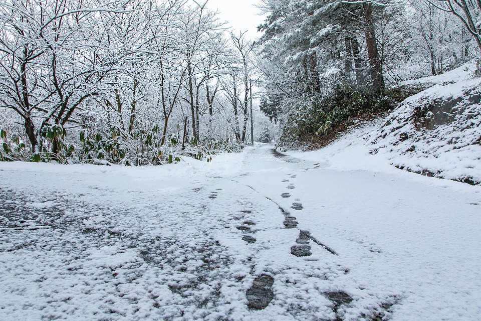 雪景の足跡
