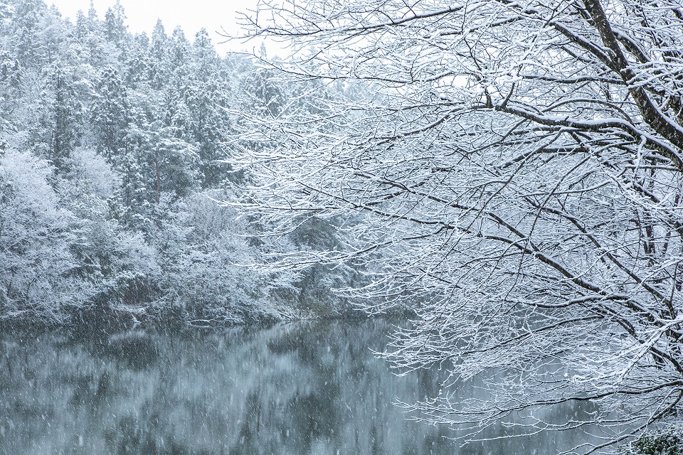 貯水池の雪景