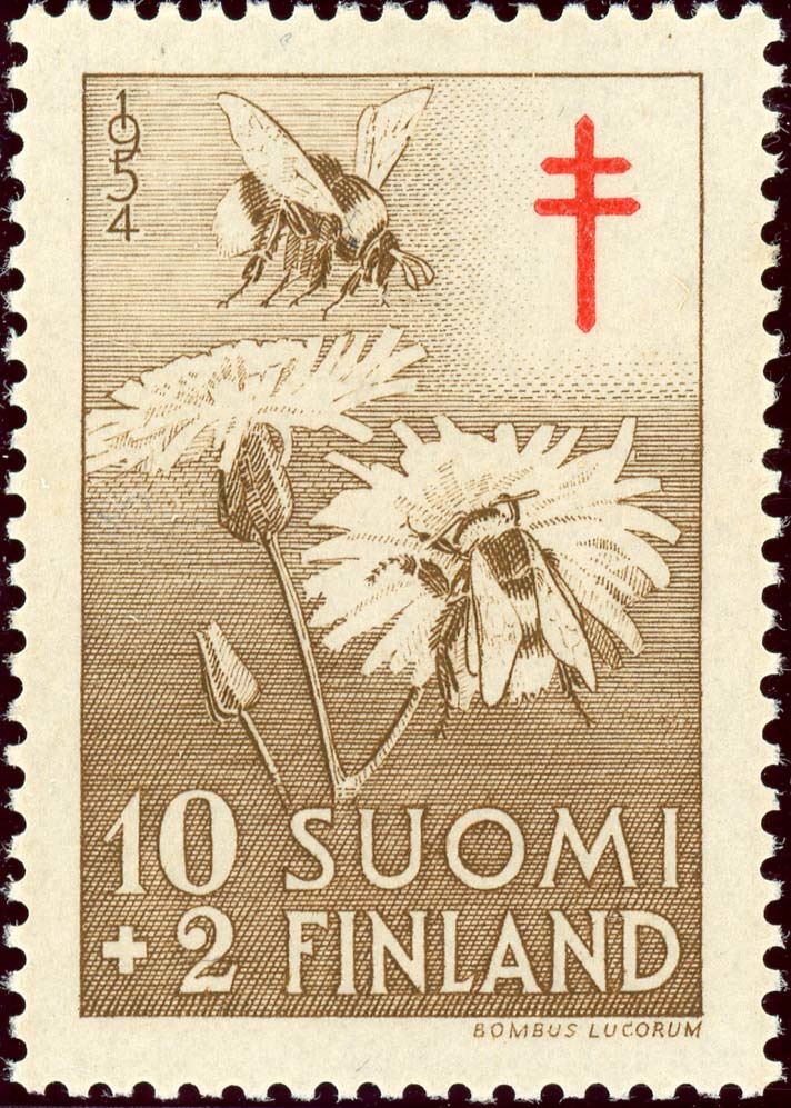 Finland:1954-1