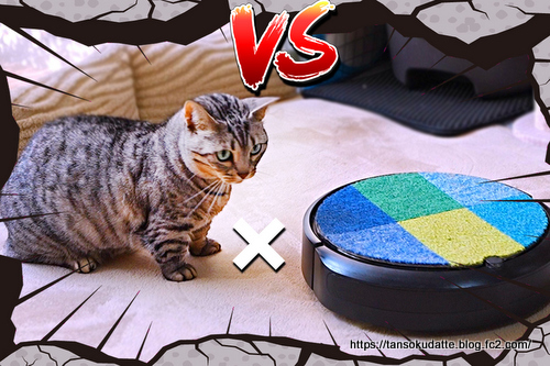 1-Roomba vs Luna